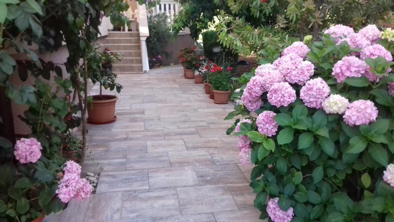 Apartments Filipovic Biograd Na Moru Exterior foto