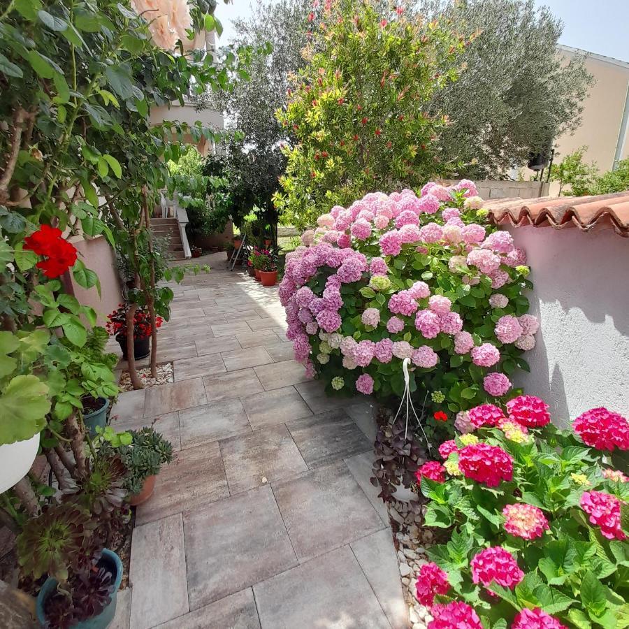 Apartments Filipovic Biograd Na Moru Exterior foto