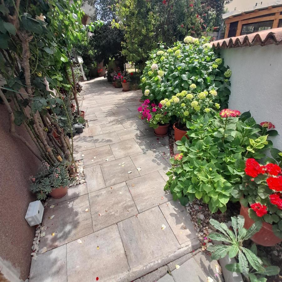 Apartments Filipovic Biograd Na Moru Exterior foto