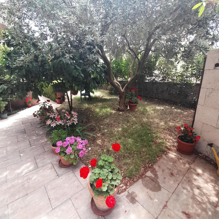 Apartments Filipovic Biograd Na Moru Exterior foto